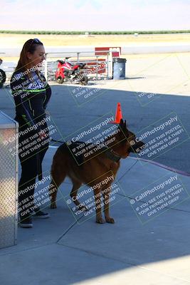 media/May-28-2023-Lets Ride (Sun) [[7acf226b67]]/Around the Pits/